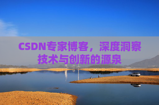 CSDN专家博客，深度洞察技术与创新的源泉